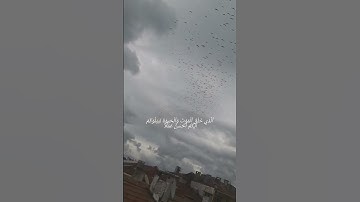 #سورة_الملك ..مانعةٌ لعذاب القبر ومنجّية لمَن يحافظ ويداوم على قرائتها في ليلته قبلَ نومه🤍