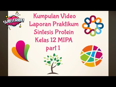 Kumpulan Video Laporan Praktikum Sintesis Protein Kelas 12 MIPA part 1 ...
