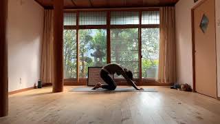 背骨を目覚めさせる／self cleaning yoga