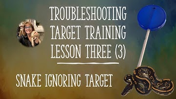 Troubleshooting Target Training Lesson Three (3): Snake Ignores Target