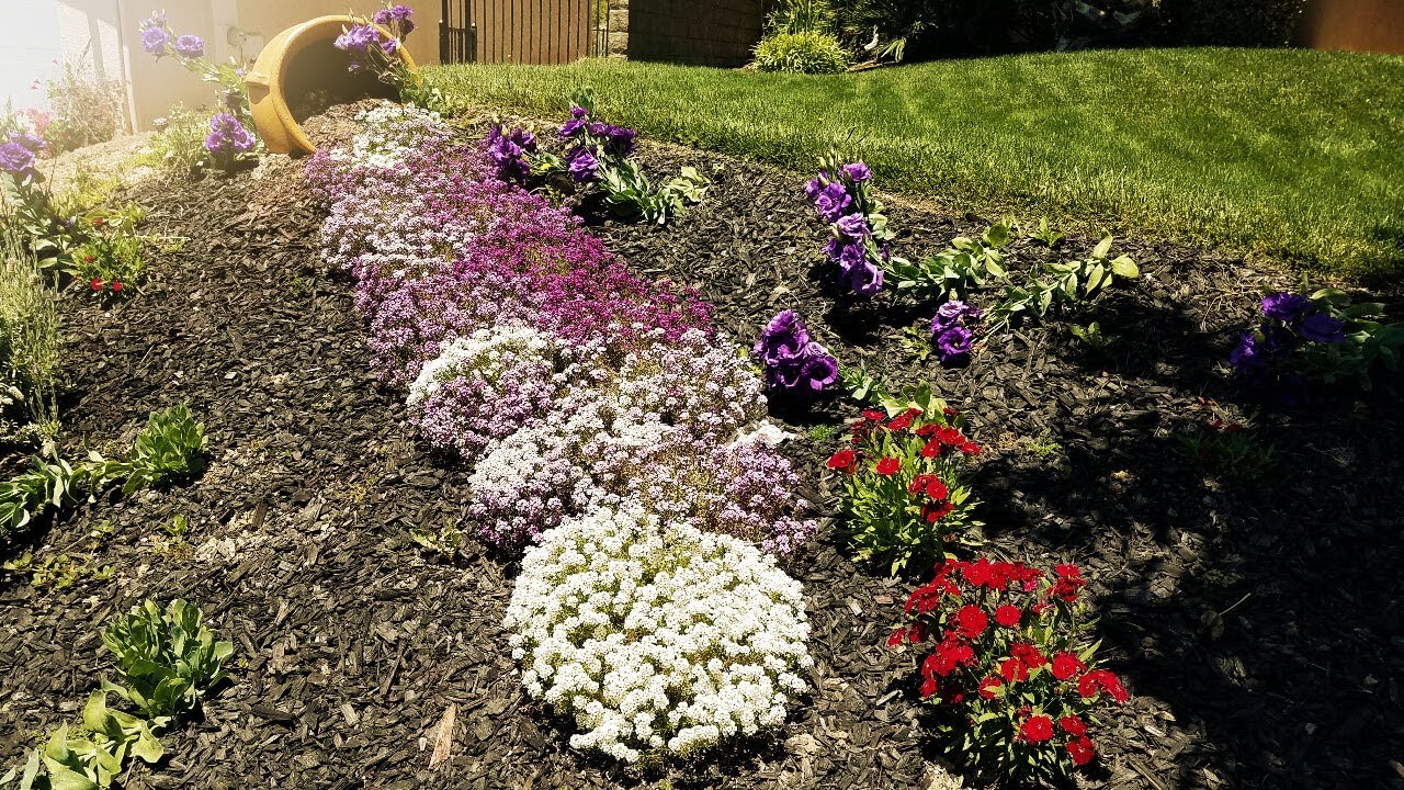 Spill over Flower Pot / Landscape make over UPDATE