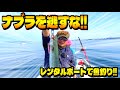 仮屋湾沖でレンタルボートで魚釣り!!10種目釣るまで帰れません!!【釣りライフ】