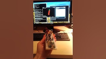 Quadcopter controller prototype