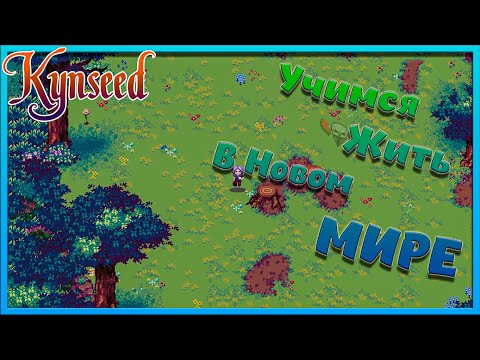 Гайд по выживанию в мире для ДЕРЕВЕНЩИН - Kynseed №2