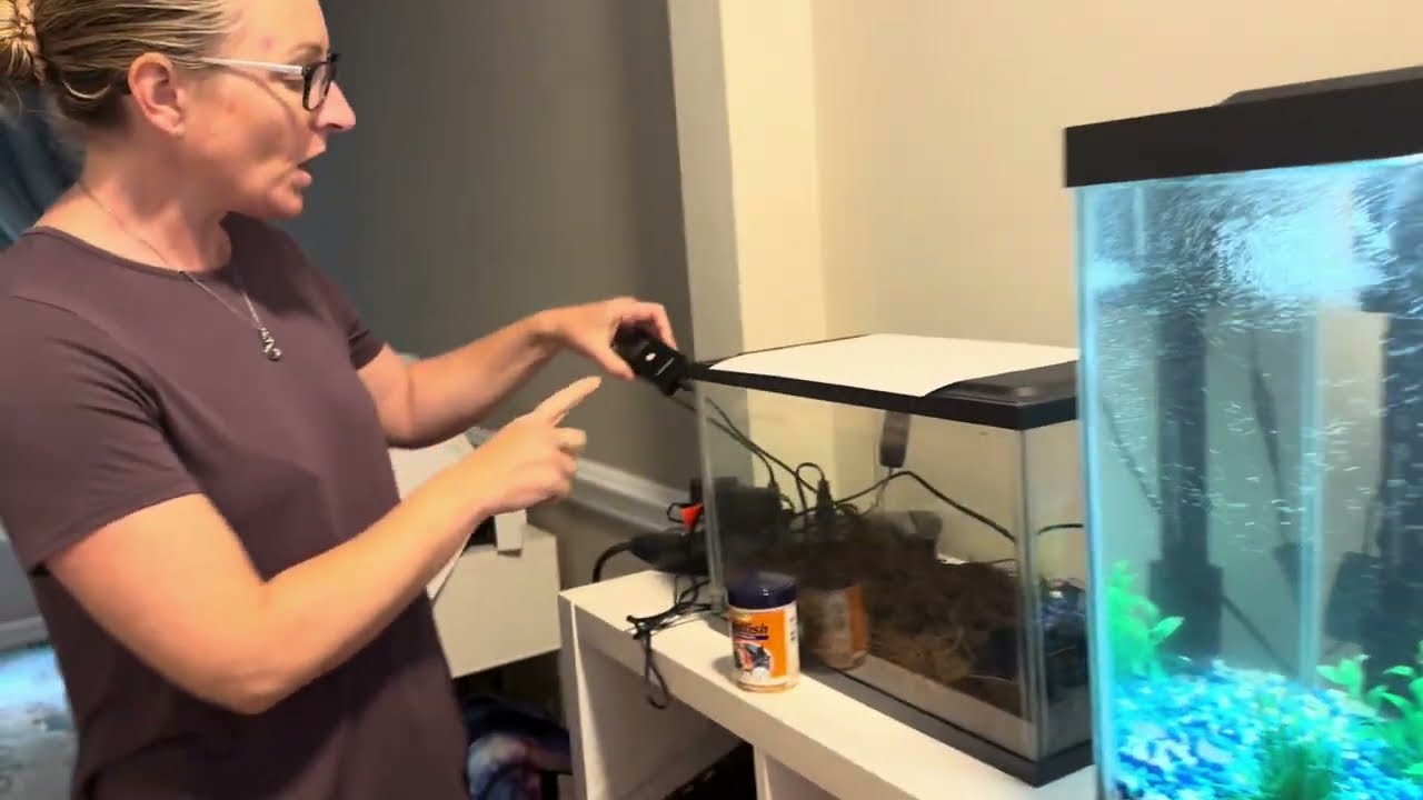 RealMamaWins | Green Water Gone FAST! Devopet Aquarium UV Filter Review for 10-40 Gallon Tanks