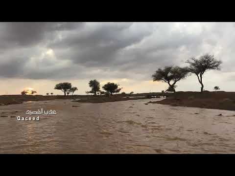شيلة نون من المنشا تحدر له اتباع أداء صوت الخليج ناصر السيحاني أمطار جنوب حائل الجمعة 15 03 1440