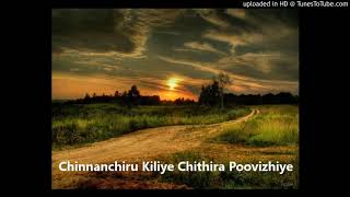 Video thumbnail of "Chinnanchiru Kiliye Chithira Poovizhiye"