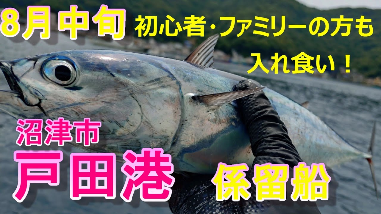 【沼津市戸田港】８月中旬係留船、初心者・ファミリーの方も入れ食い！