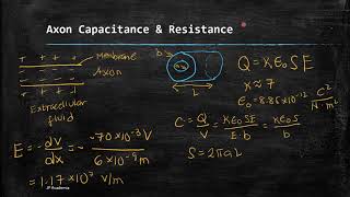 Physics of the Nervous System