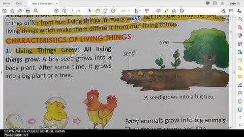 class 3 science chapter 5 things around us part 1