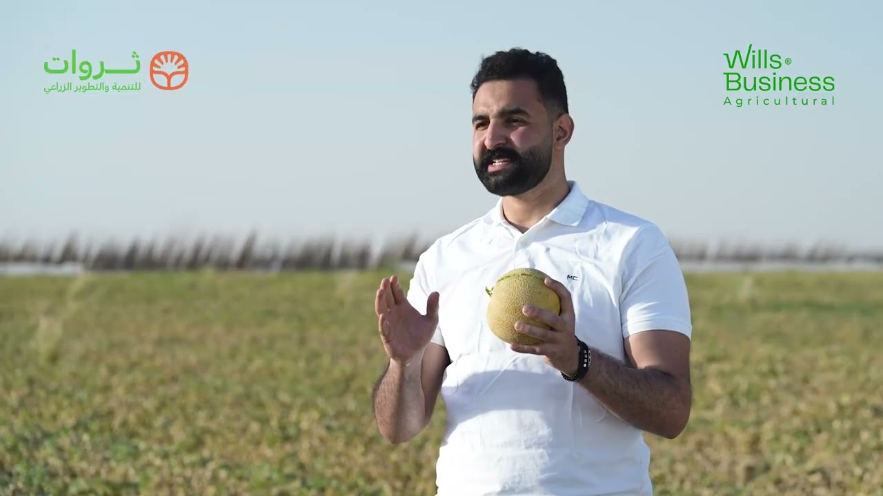 فيديو ثروات