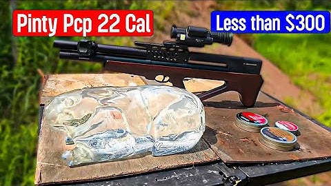 Pinty Bullpup ▪︎ .22Cal Pcp New Budget Small Game / Plinker. Accuracy Power & More. 