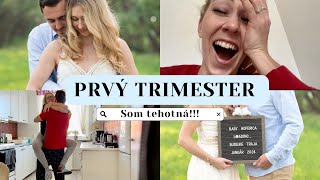 VLOG | Prvý trimester v tehotenstve | Oznámenie tehotenstva rodine, prvý ultrazvuk a nevoľnosti