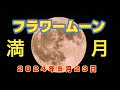 フラワームーン 2024年5月23日（木）