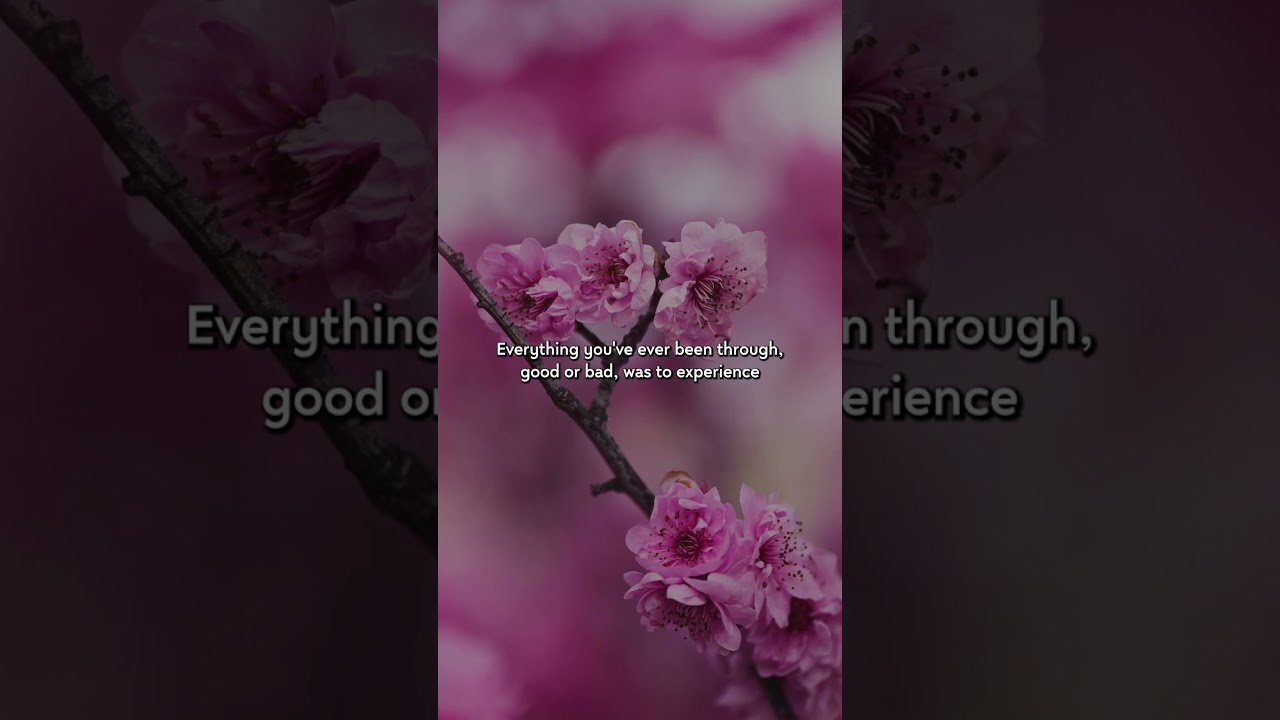 Daily inspirational quotes | Living Pieces | RAE Industries