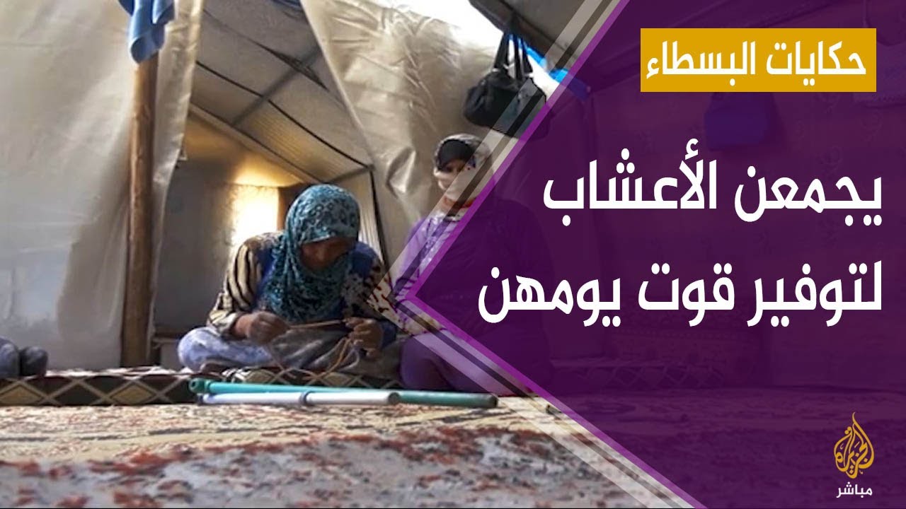 نازحة سورية مسنة تعمل مع بناتها في جمع الأعشاب لتوفير قوت يومهن