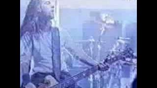 Pantera Becoming (live)