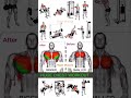 This Chest Workout Will Add INCHES to Your Pecs (Do This!)