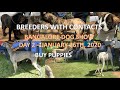 Bangalore dog show day 2- 26th January 2020 - BREEDERS WITH CONTACTS- BUY PUPPIES- DOG MARKET