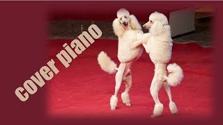 Как играть собачий вальс на пианино Как играть собачий вальс на пианино