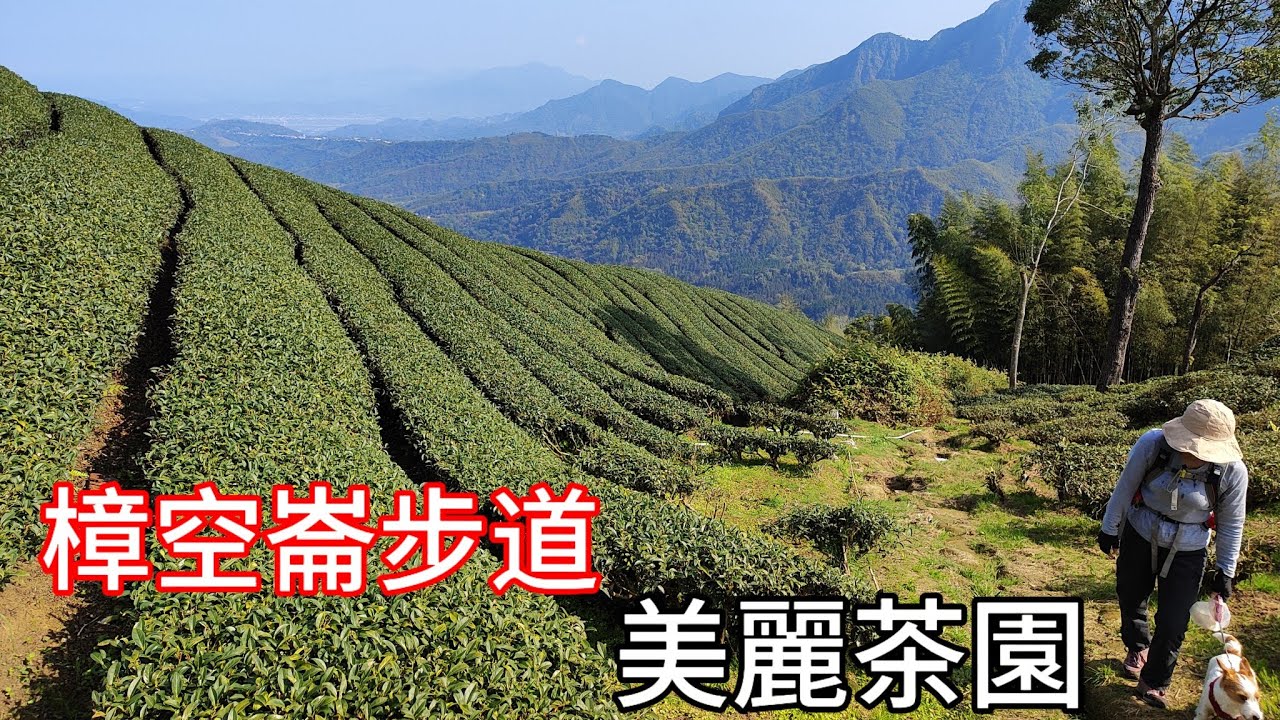 南投鹿谷 | 大石公登山口 | 大崙頭山 |貓冬望山 | 民眾坪山 | 溪頭四珠-樟空崙山