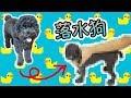 Coco 被瘋狂沖洗身體 | 乜原來你落左粧原來係咁樣㗎？！