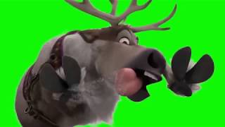 Северный Олень Футаж На Хромакее Footage On A Green Background Reindeer