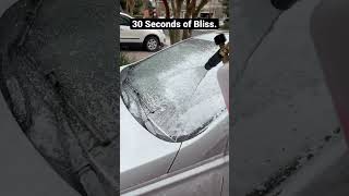 30 Seconds of Bliss. #detailing #autodetailing #foam #snowfoam