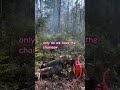 Today was our last burn day, decided after the video  #australiancattledog #offgrid #firesafety