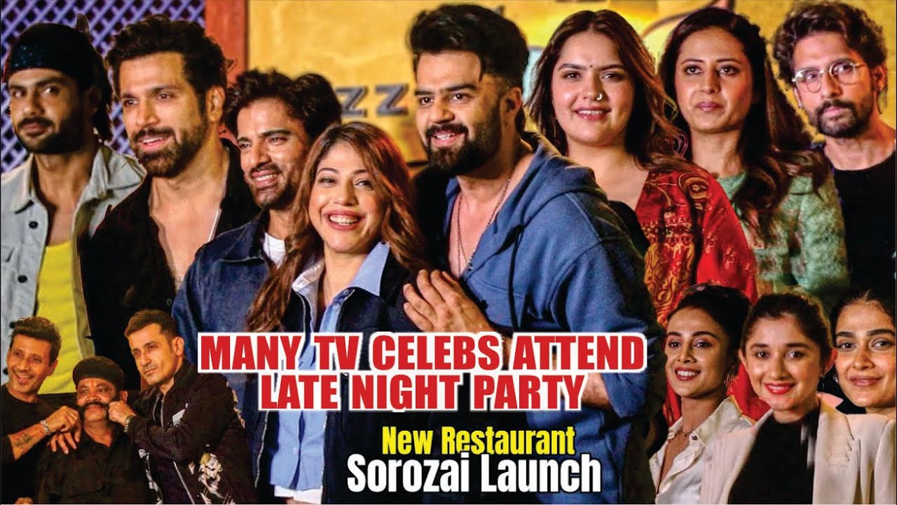 TV CELEBS LATE NIGHT PARTY INSIDE VIDEO | Mohit Malik, Rithvik Dhanjani ...