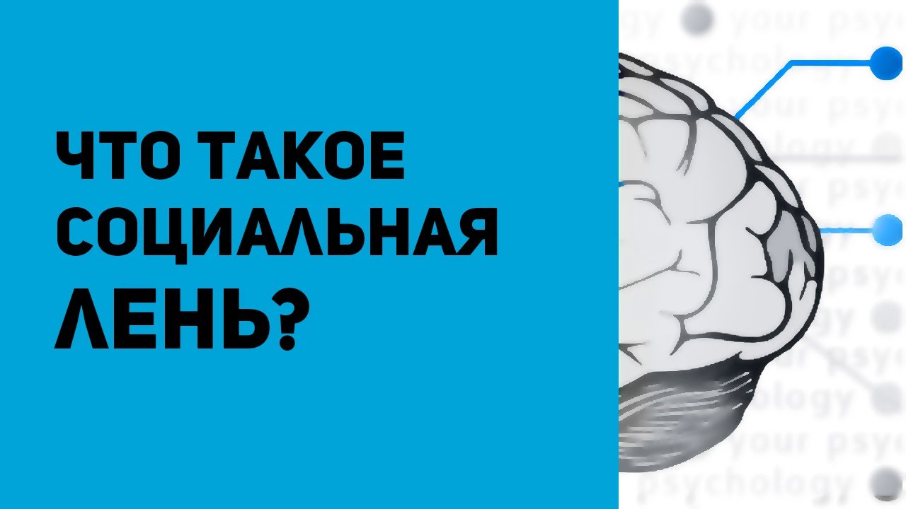 Что такое социальная лень и как ее избежать? Эффект Рингельмана.