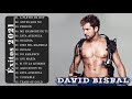 David Bisbal 2021🍁 || Mejores Canciones de David Bisbal || Reggaeton Mix 2021 Lo Mas Nuevo en Éxitos