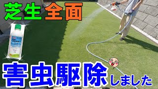[Lawn and Pesticides] To improve poor growth areas, we sprayed Sumithion Emulsion over the entire...
