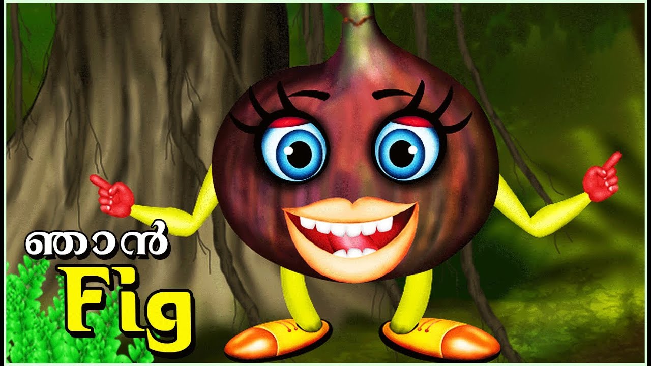 The Speaking "Fig" Malayalam Kids Animation YouTube