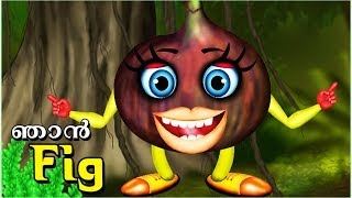 The Speaking Fig | Malayalam | Kids Animation