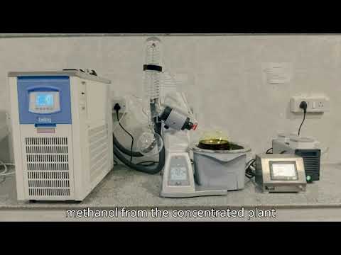 How to Prepare Crude Plant Extracts Using Methanol | Lab Tutorial