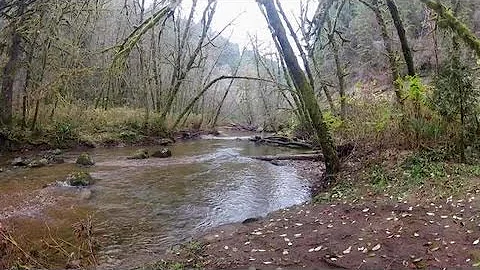 Archie Knowles Campground closed and maybe for good.