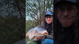 belles carpes du domaine public #carp #fishing #pêche #carpfishing #pesca