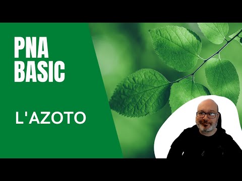 Video: Cosa significa non azotato?