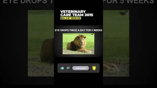 Vet Care Presentation By Dr. Boorstein~Part 47 Of 59