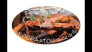 Террариум для Бородатой Агамы