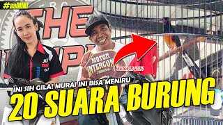 GELO‼️ 20 SUARA BURUNG BERBEDA SEKALIGUS