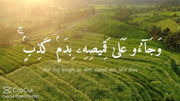 سورة يوسف  الاية (17)  بصوت الحاج عامر الكاظمي