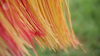  Short meditation | reflection on the World’s Indigenous Peoples