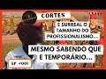 Comandos Anfíbios Explica toda Importância e Profissionalismo dos Precursores Paraquedistas do EB.