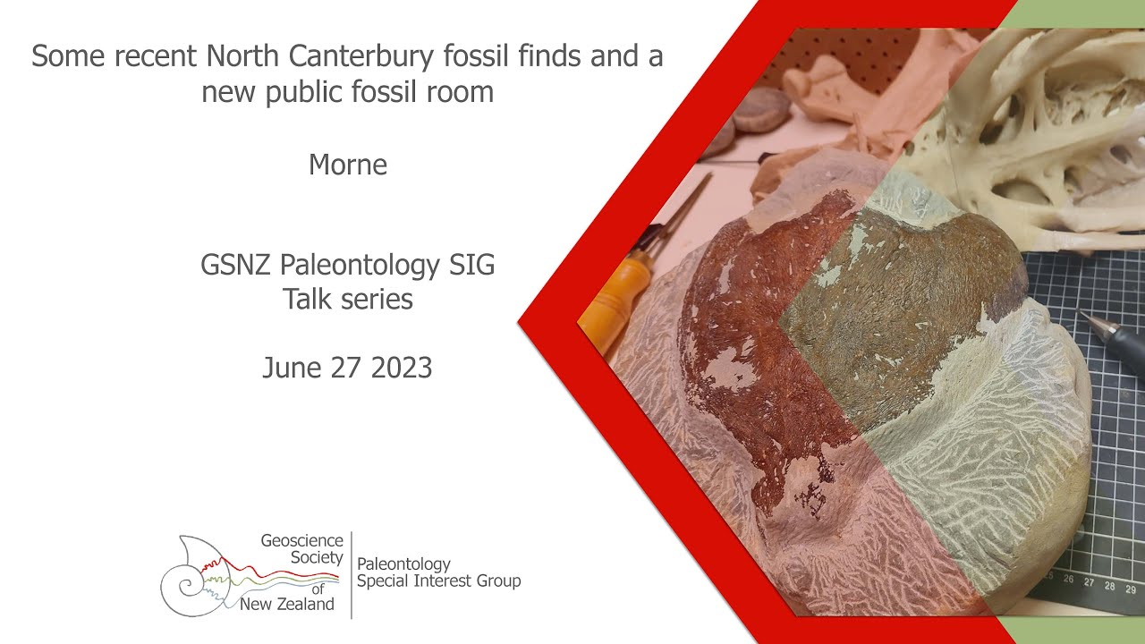 Some recent North Canterbury fossil finds and a new public fossil room