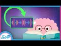 Understanding Reading Speed and Aging