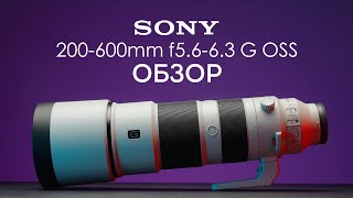 Sony 200-600mm f5.6-6.3 G OSS обзор на русском. Отзывы на Pleer.ru