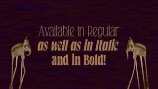 Falkin Serif Font Gallery