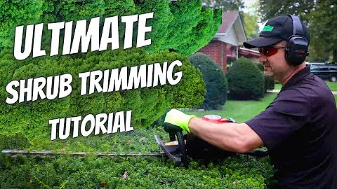 The Ultimate Shrub Trimming Tutorial | Keith Kalfas